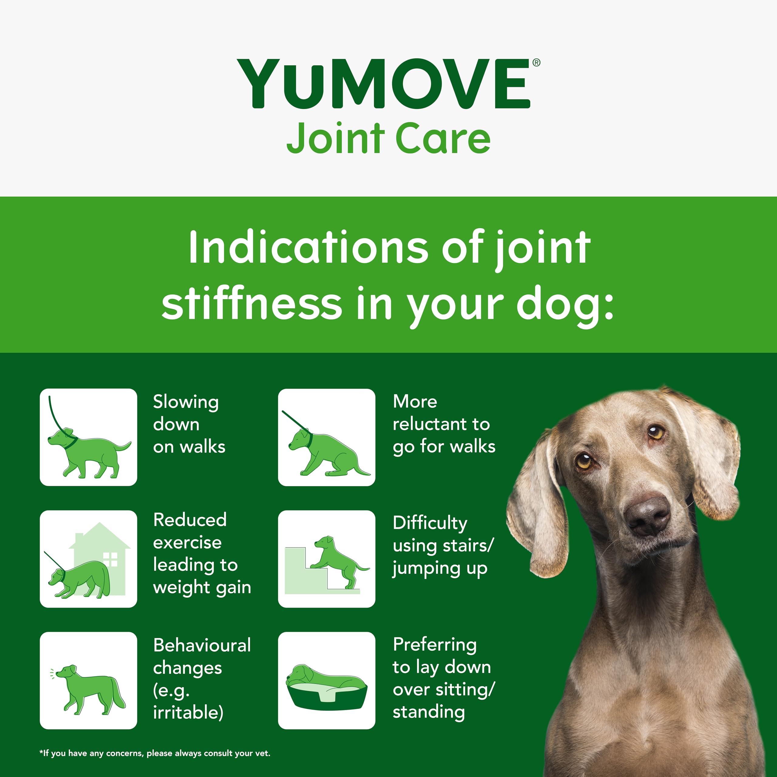 YuMOVE Young and Active Dog | Joint Supplement for Dogs to Support Active and Growing Joints Aged Under 6 | 60 Tablets Clear