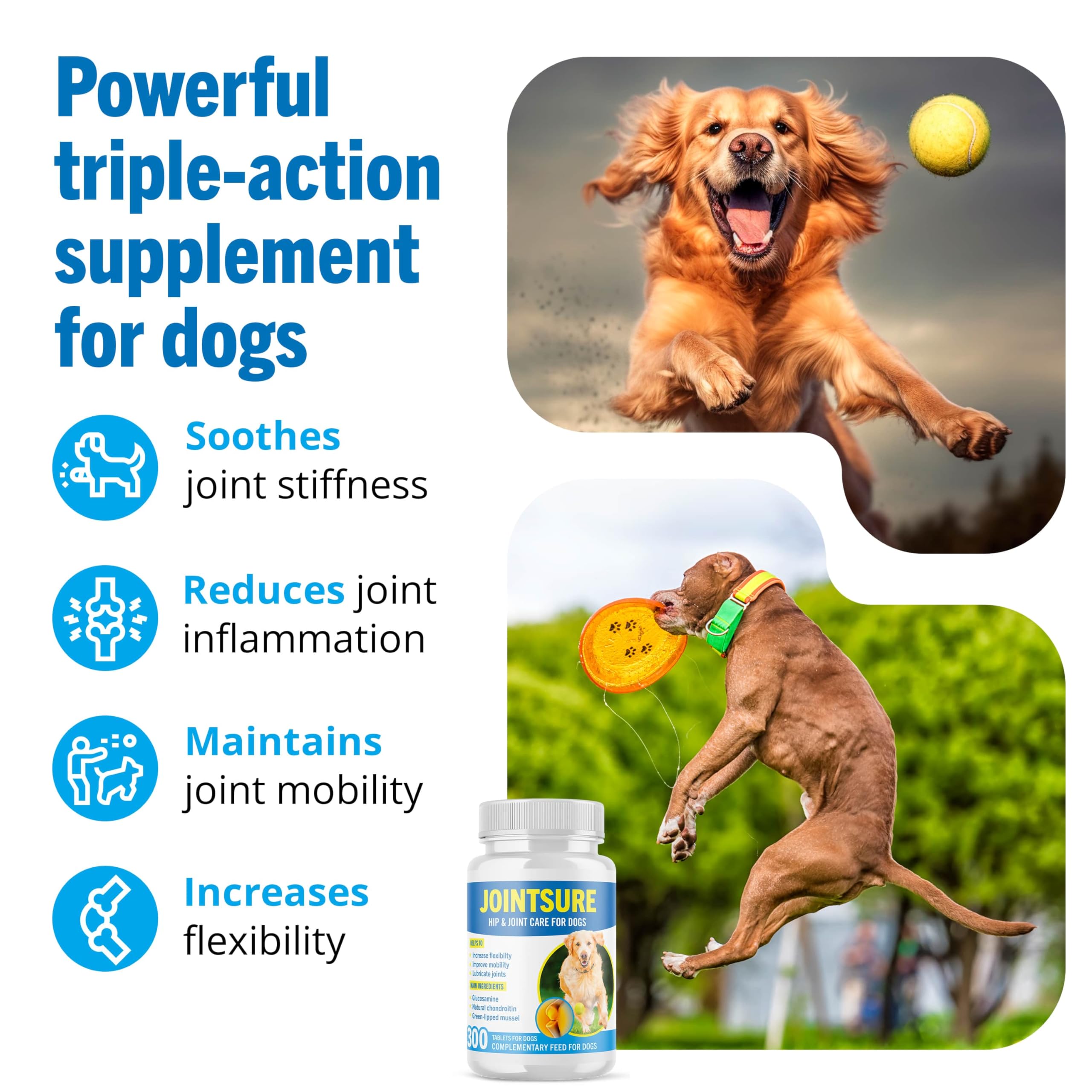 JOINTSURE Joint Supplements for Dogs – 120 Tabs, Joint Structure & Mobility for Dogs| Advanced Formula