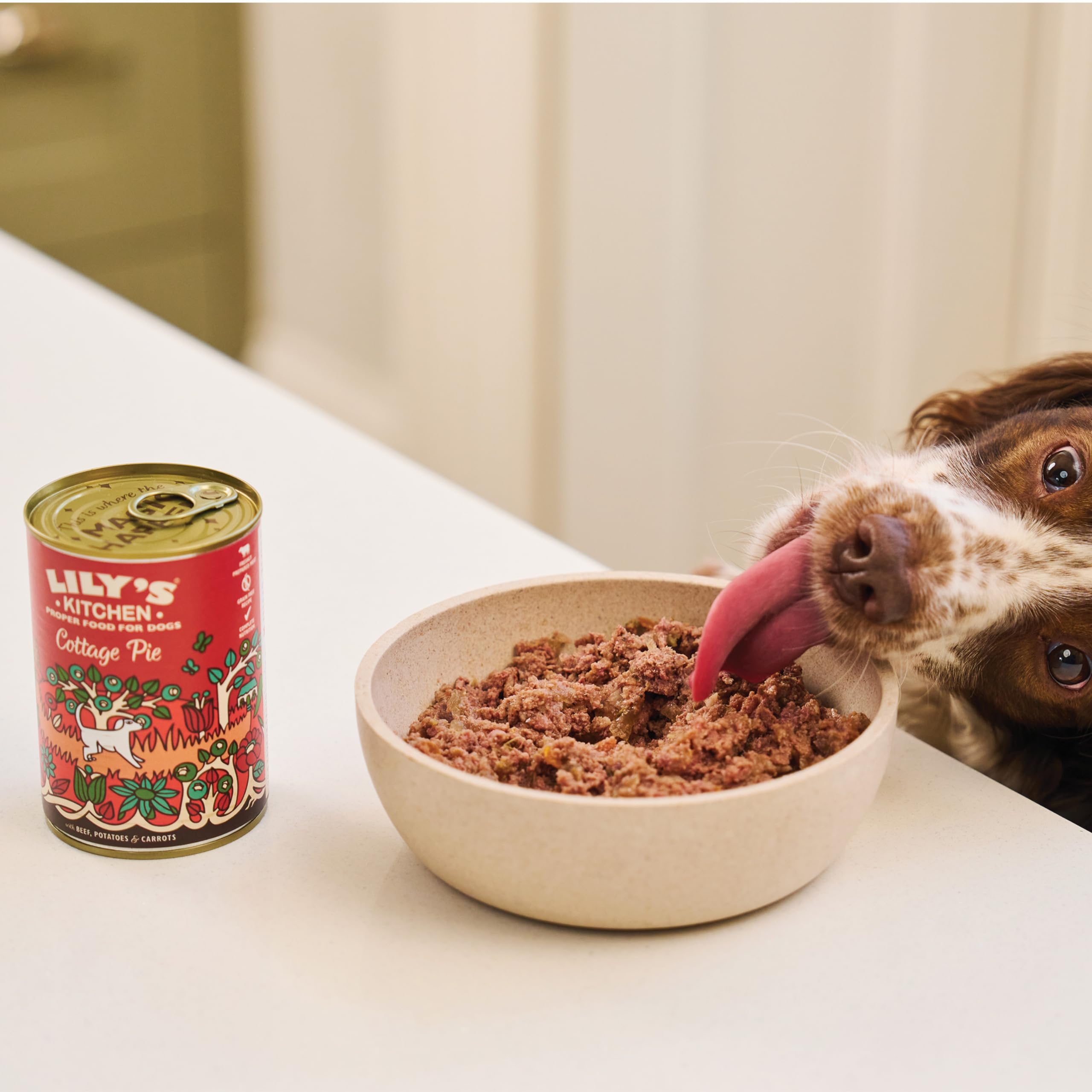 Lily's Kitchen Natural Adult Dog Food Wet Tins - Cottage Pie - Complete Meal Recipes (6 Tins x 400g)