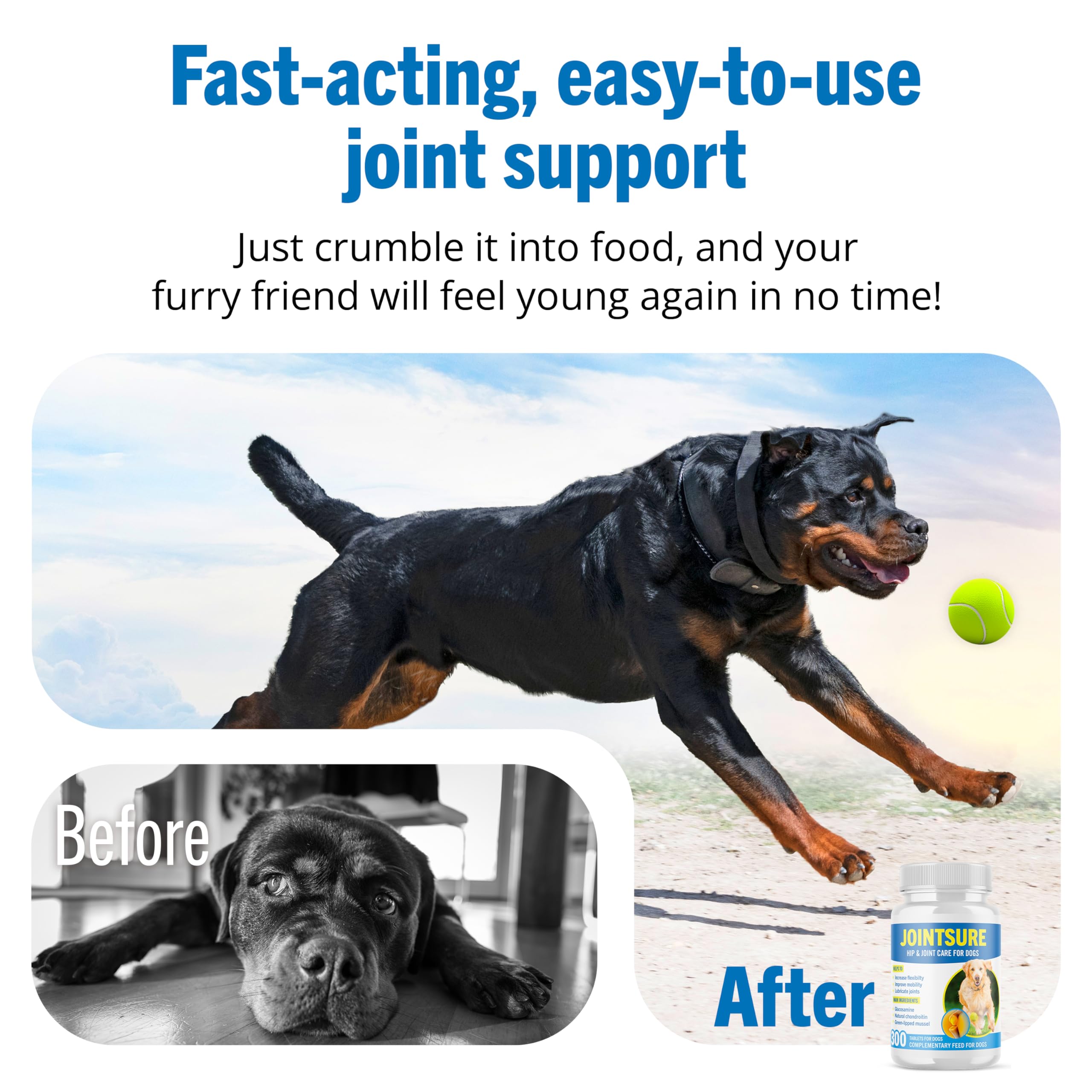 JOINTSURE Joint Supplements for Dogs – 120 Tabs, Joint Structure & Mobility for Dogs| Advanced Formula