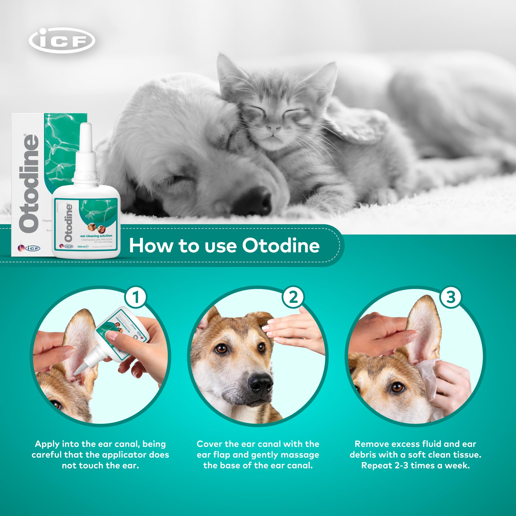ICF Otodine | Cat & Dog Ear Cleaner Solution | Dog Ear Drops to Stop Wax Build Up, Head Shaking, Discomfort, Ear Odour & Scratching | 100ml
