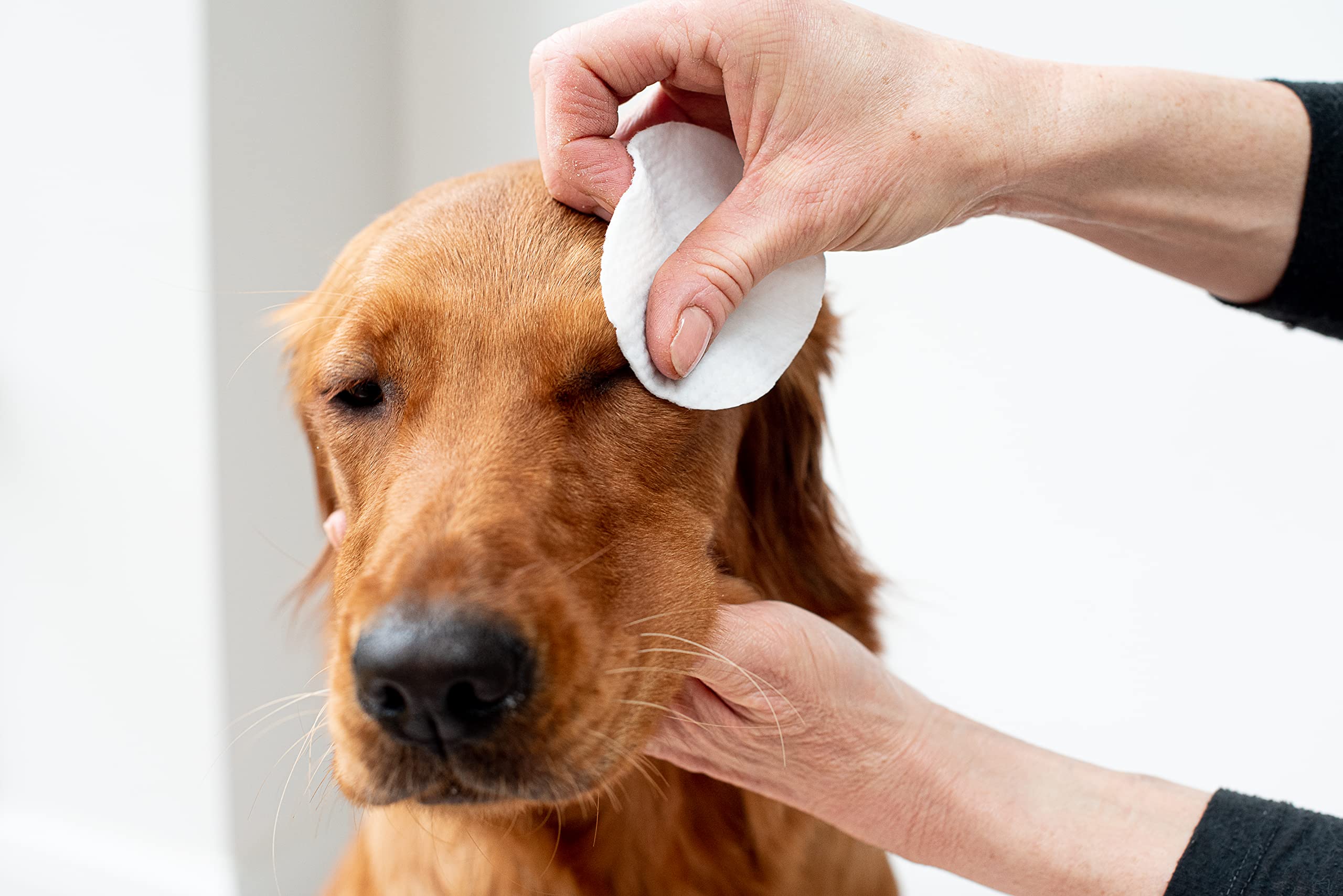 pet wiz Vet Approved | 120 Extra Large Natural Eye Wipes | Gentle & Soothing