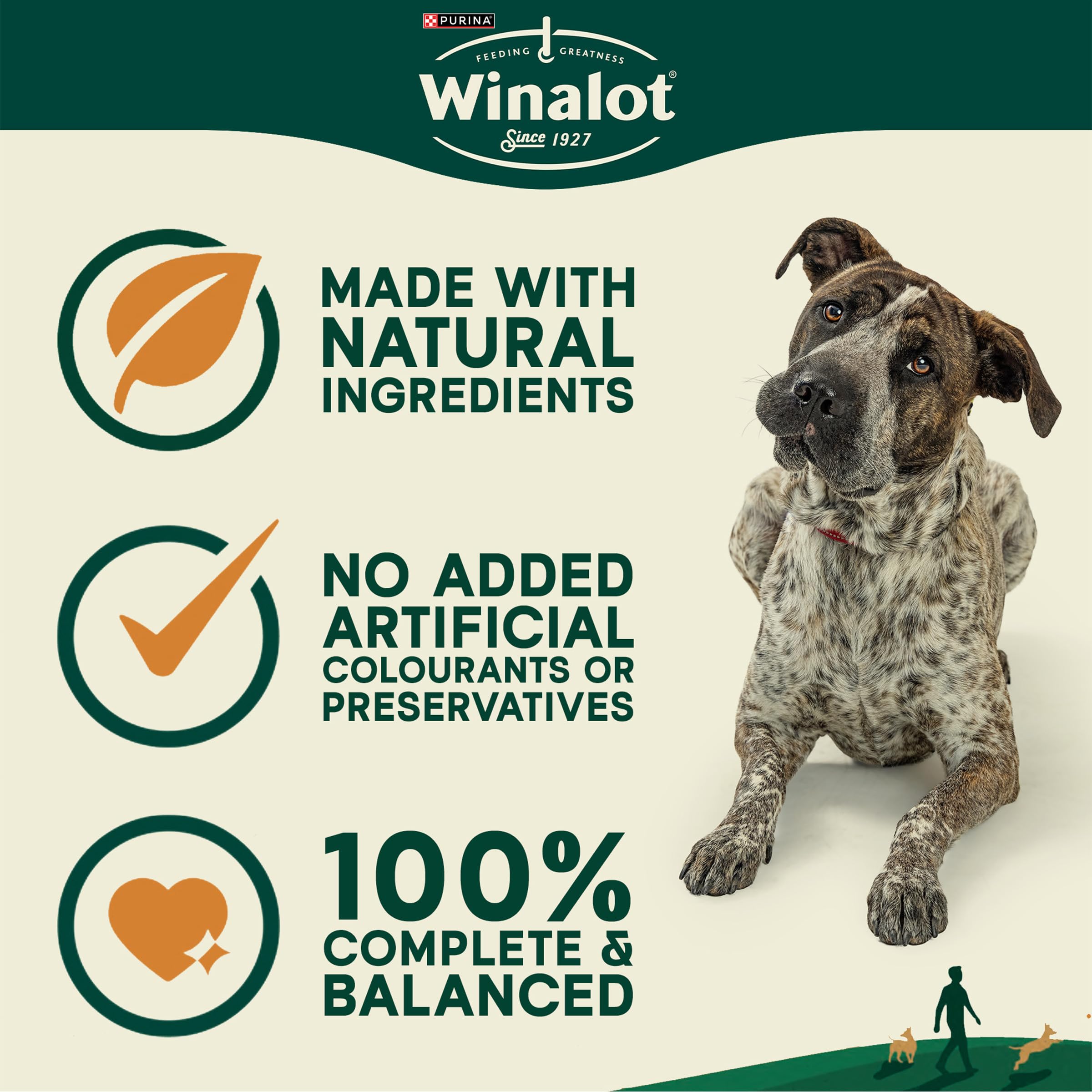 WINALOT Meaty Chunks Mixed in Gravy Wet Dog Food 40x100g