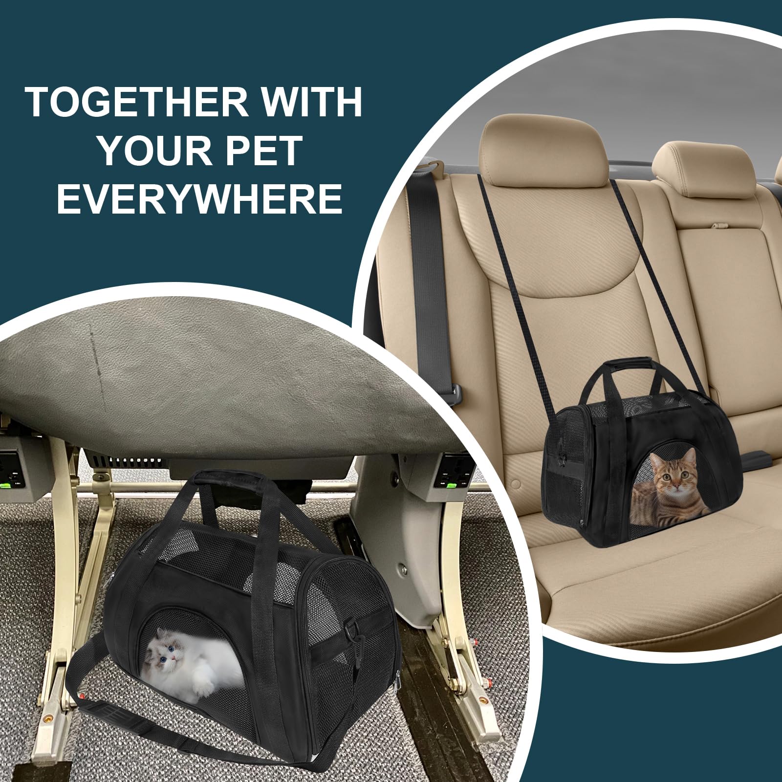 Soft Sided Portable Cat Carrier, Foldable Pet Travel Carriers Bag For Cats/Small Dog/Puppy With Shoulder Strap & Removable Mat,Comfort Cat Basket Airline Approved(Black/Medium)