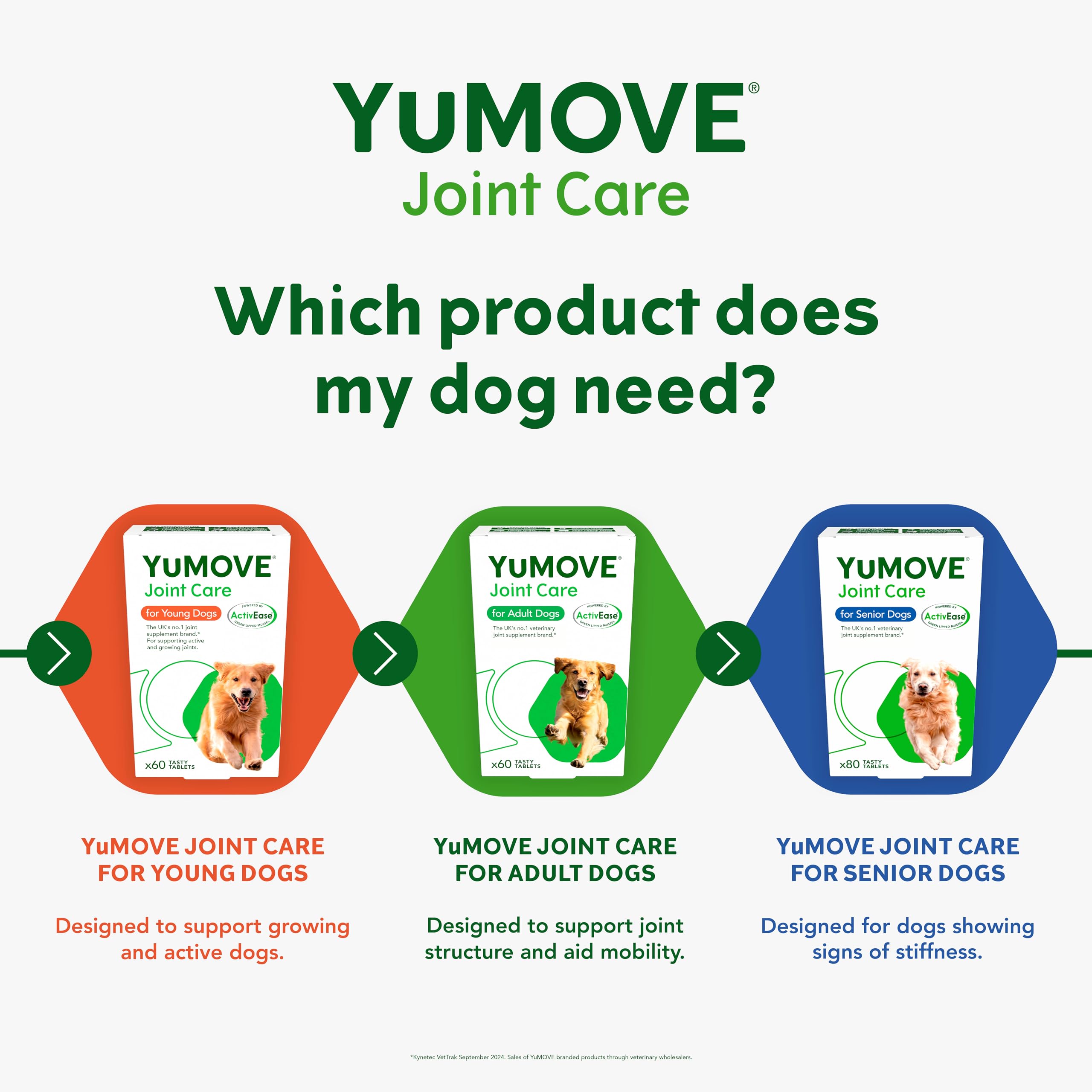 YuMOVE Young and Active Dog | Joint Supplement for Dogs to Support Active and Growing Joints Aged Under 6 | 60 Tablets Clear