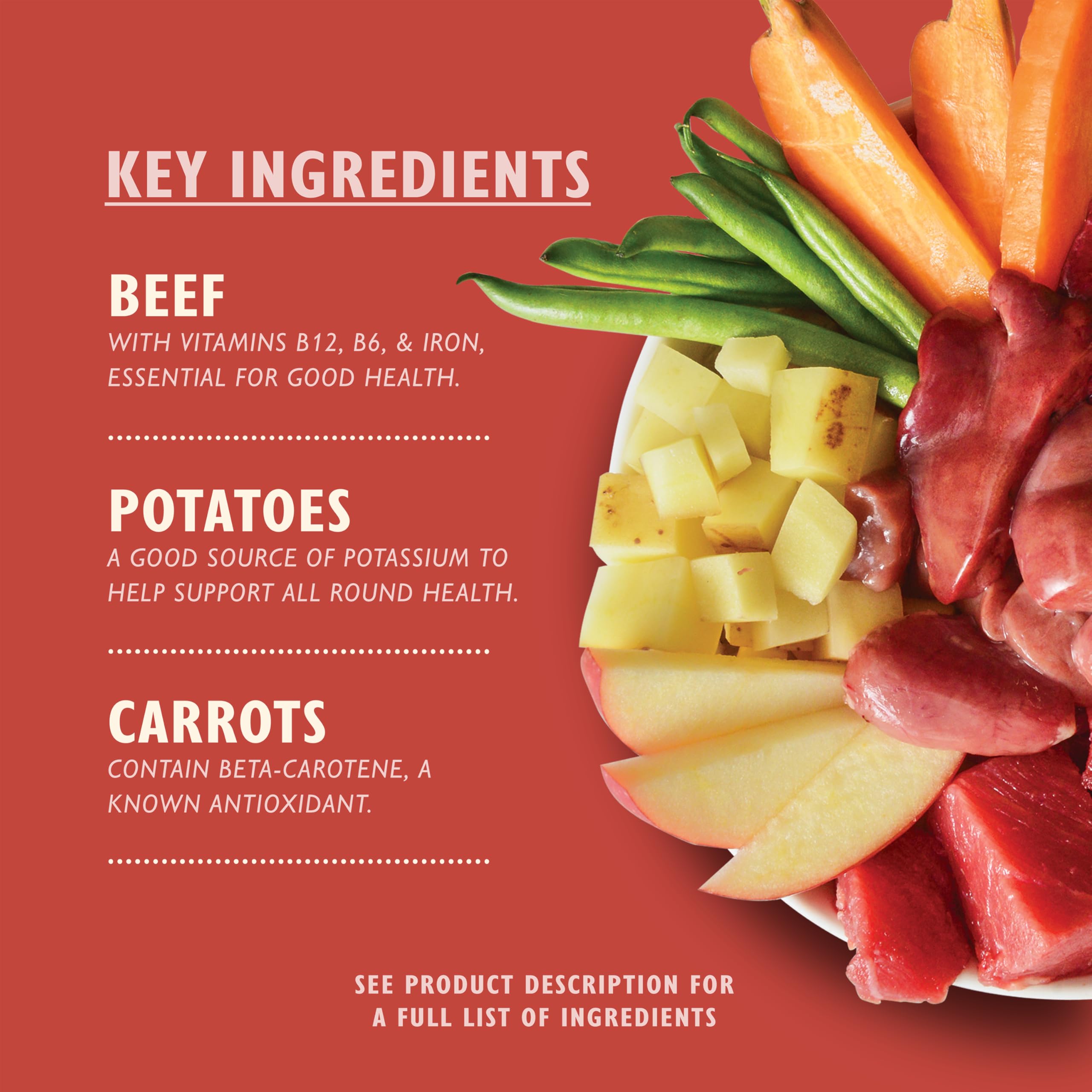 Lily's Kitchen Natural Adult Dog Food Wet Tins - Cottage Pie - Complete Meal Recipes (6 Tins x 400g)