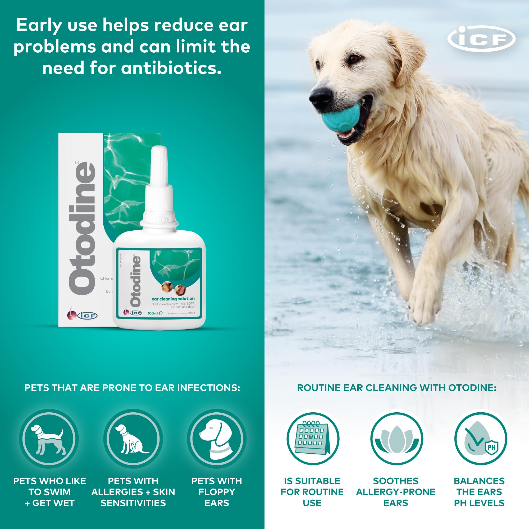 ICF Otodine | Cat & Dog Ear Cleaner Solution | Dog Ear Drops to Stop Wax Build Up, Head Shaking, Discomfort, Ear Odour & Scratching | 100ml