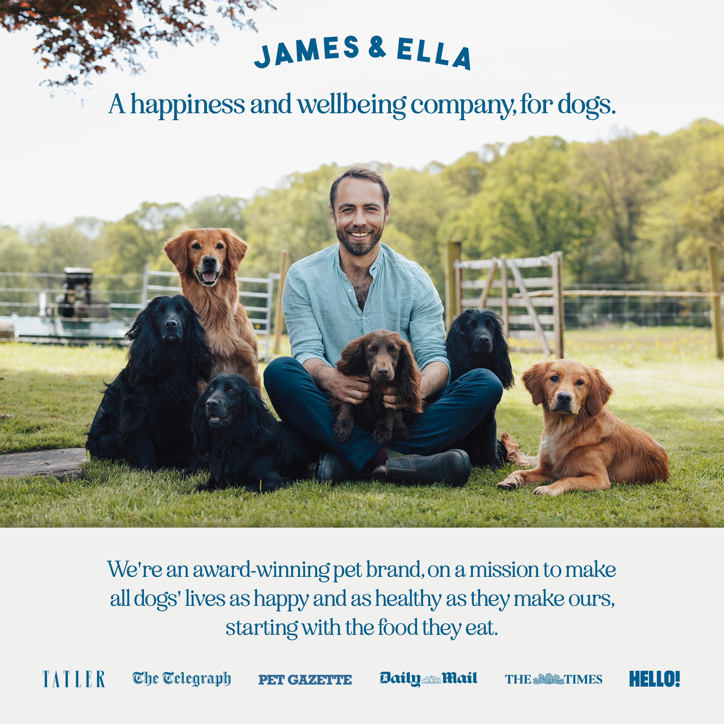 James & Ella Freeze-Dried Raw Dog Food Topper (50g) ❘ Tasty Free Run Chicken ❘ Freeze-Dried to Seal in Nutrients, Packed with Essential Oils & Minerals for Happy, Healthy Dogs, Grain & Gluten Free