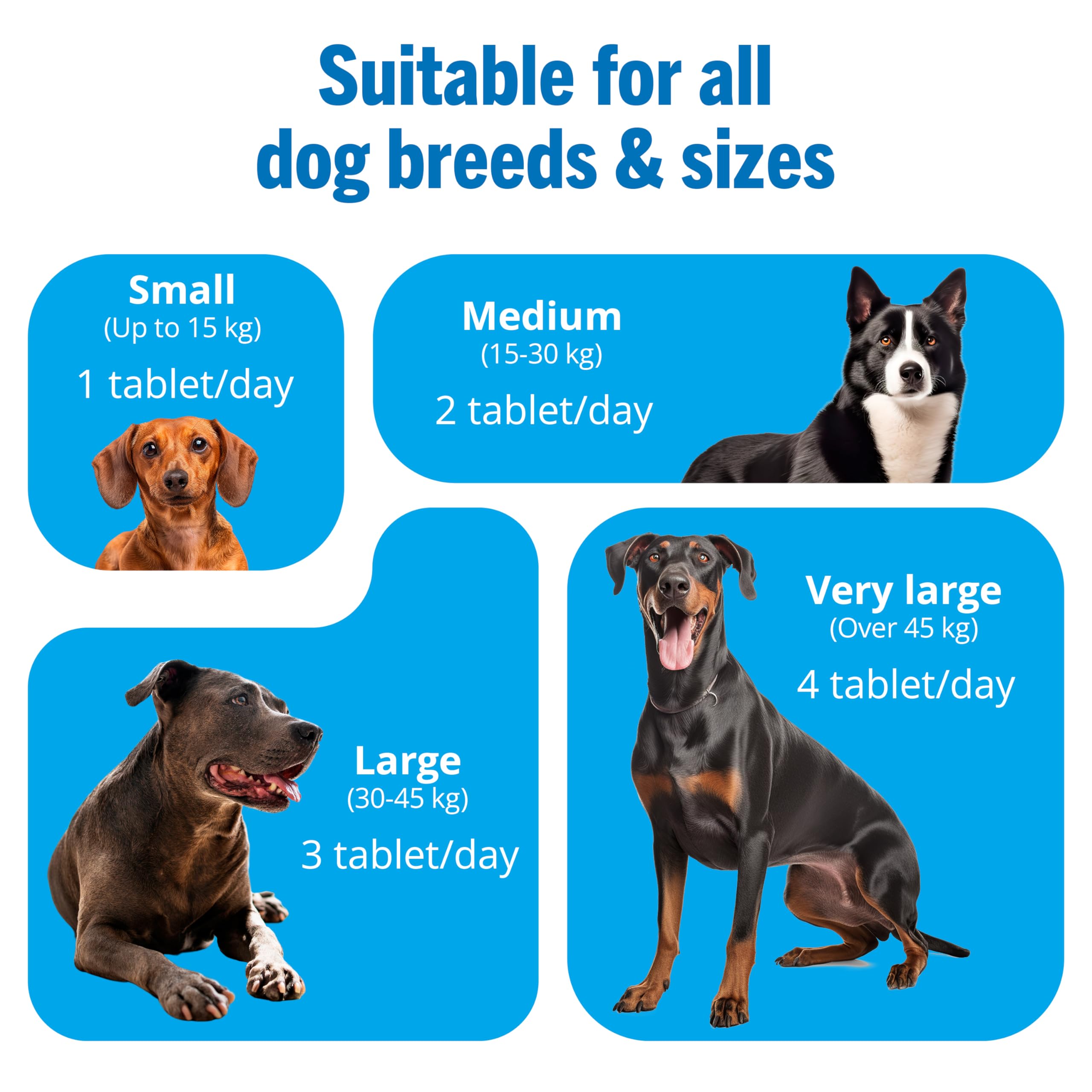 JOINTSURE Joint Supplements for Dogs – 120 Tabs, Joint Structure & Mobility for Dogs| Advanced Formula