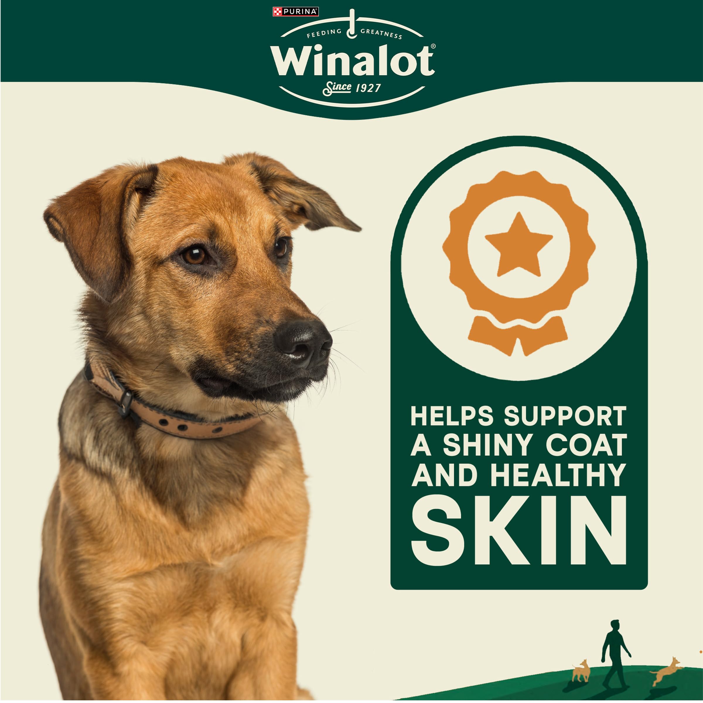 WINALOT Meaty Chunks Mixed in Gravy Wet Dog Food 40x100g