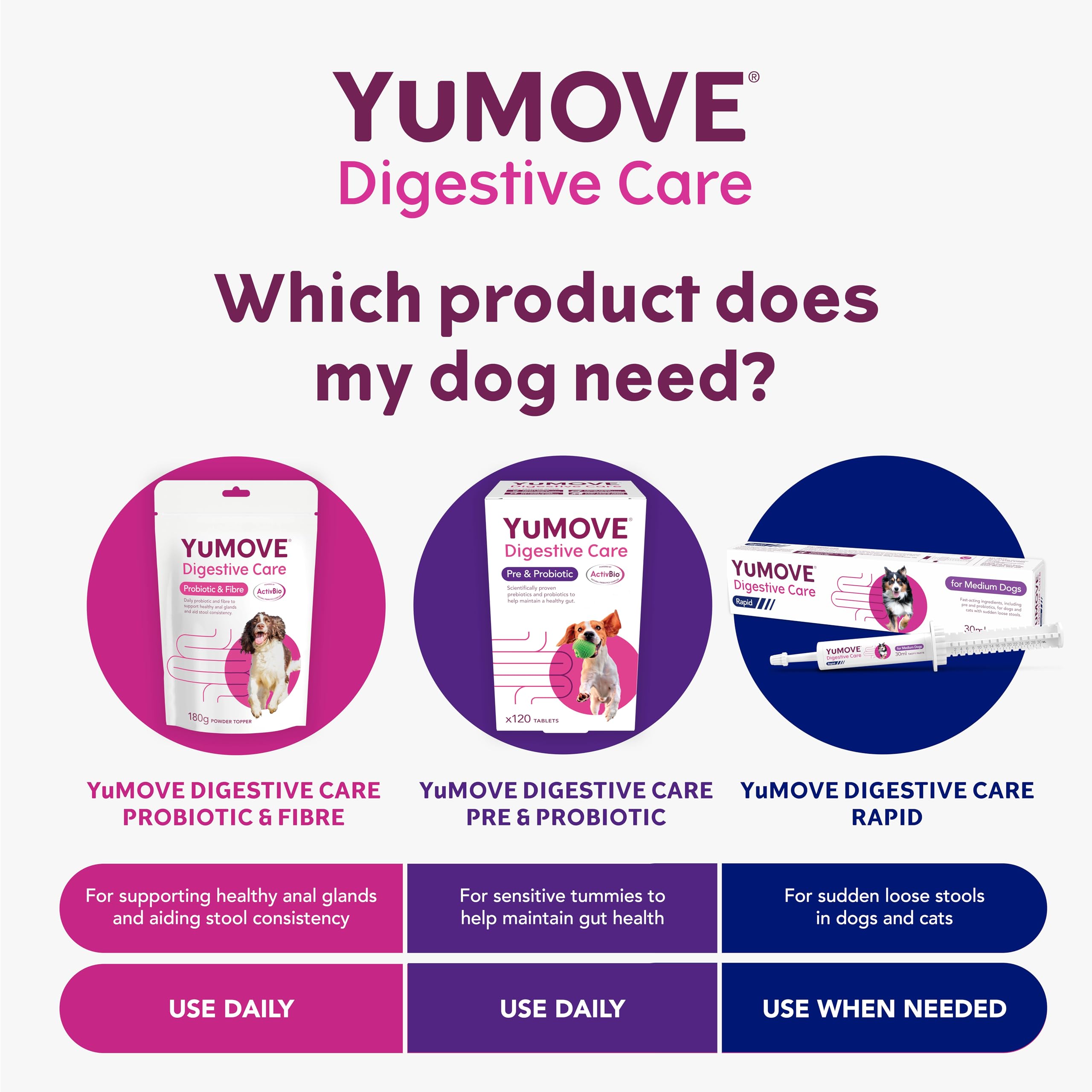 YuMOVE Digestive Care Rapid, Dog Pre and Probiotic Paste for Gut Health, Digestive Supplements with Fast-Acting Ingredients for Medium Dogs, 30ml