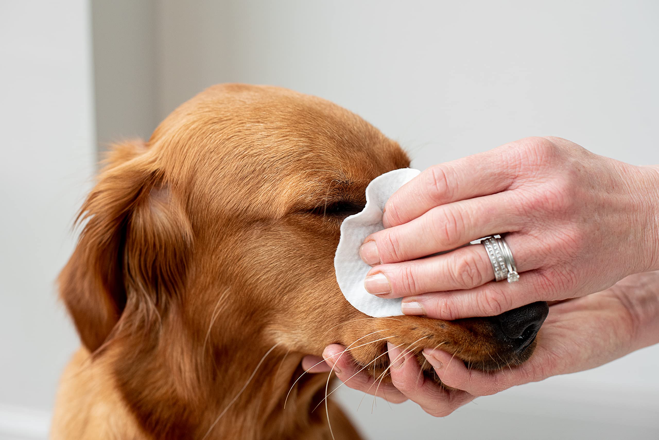 pet wiz Vet Approved | 120 Extra Large Natural Eye Wipes | Gentle & Soothing