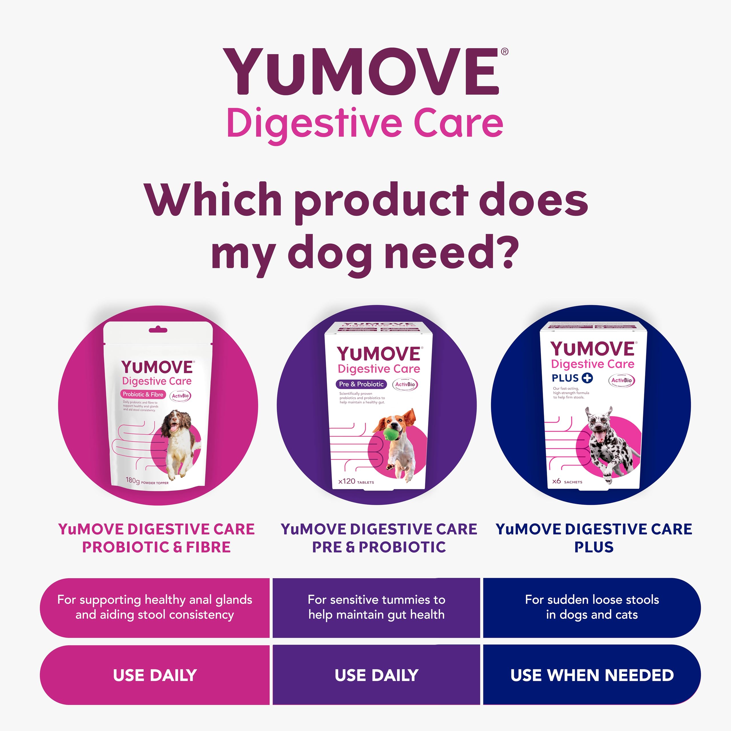 YuMOVE Digestive Care, Dog Pre and Probiotics Supplement for Gut Health, Digestive Support for All Ages and Breeds, 120 Tablets - Eco Friendly and Letter Box Ready Packaging