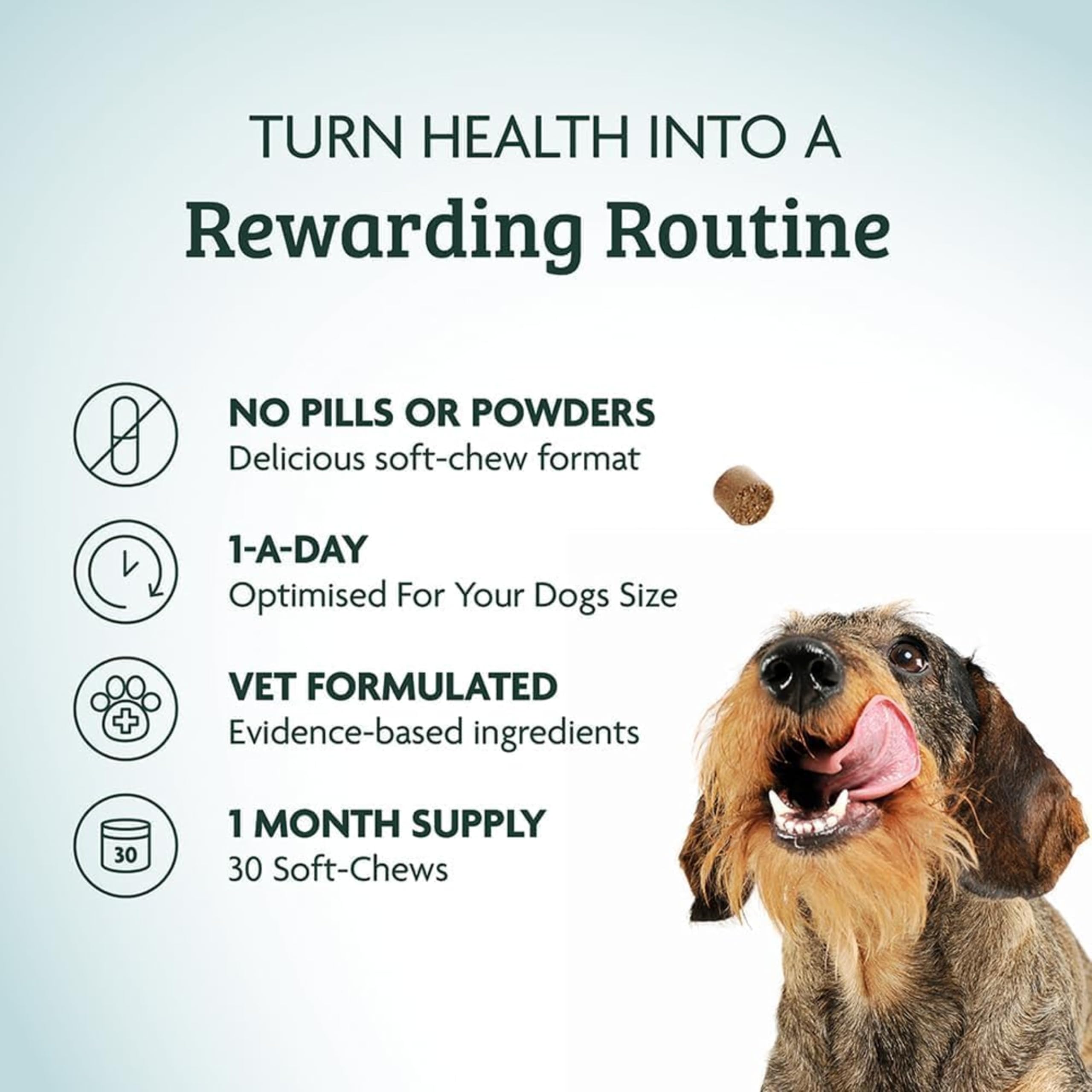 Omni Anal Glands Dog Supplements - Dragons’ Den Winners, One-a-Day Supplement, Psyllium Husk & Apple Pectin - Daily Chew Dog Treat for Full, Blocked, Odorous Glands, 30 Servings, Small 0-15 Kg