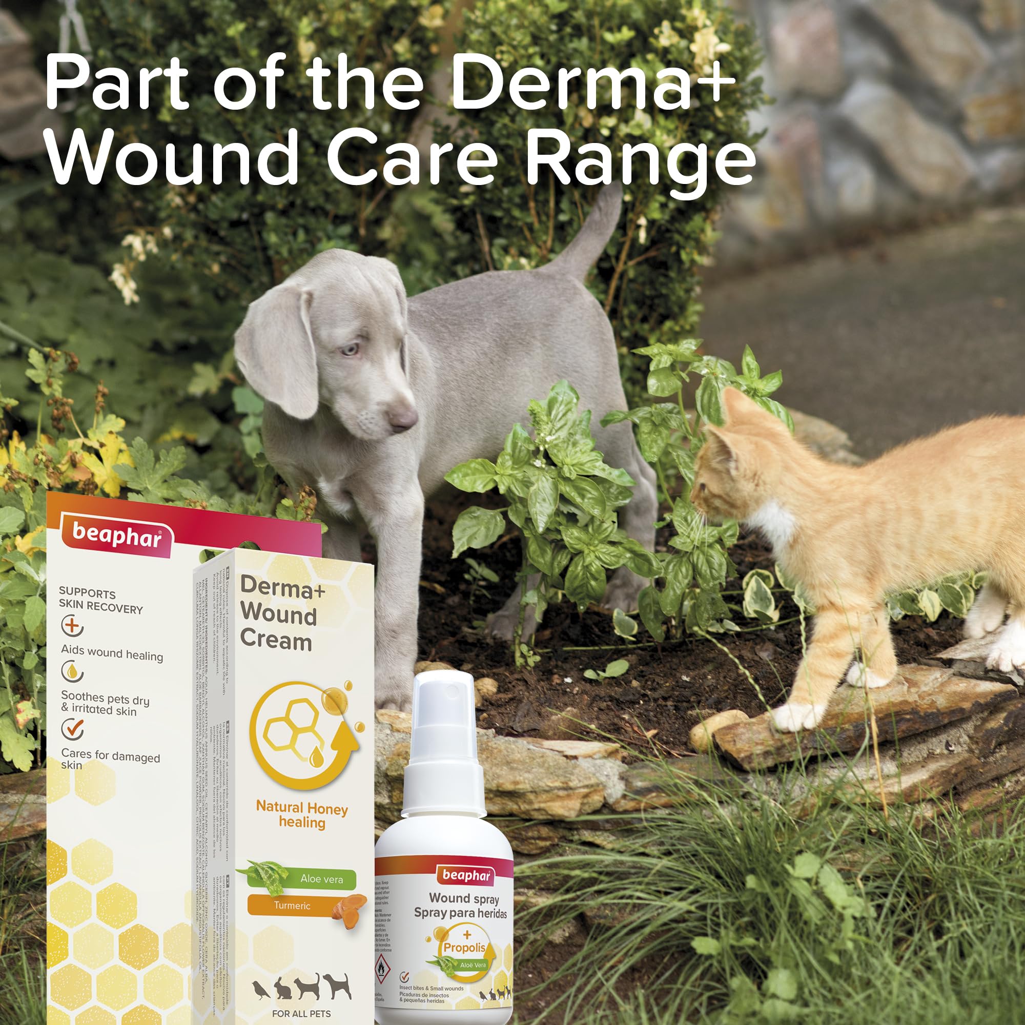 Beaphar - Derma+ Wound Cream for Pets 30ml – First aid soothing cream with honey, Aloe vera & turmeric - Supports skin recovery, wound healing & soothes dry & irritated skin - Suitable for all pets