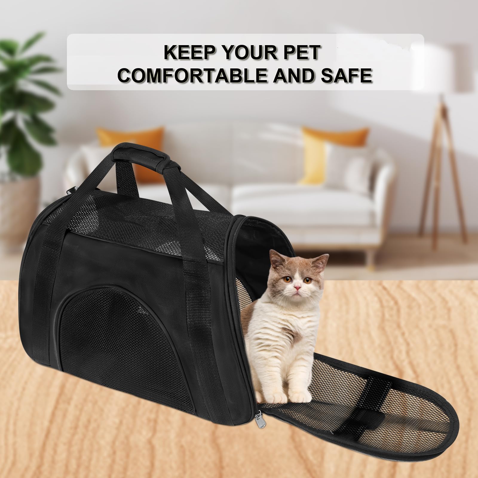 Soft Sided Portable Cat Carrier, Foldable Pet Travel Carriers Bag For Cats/Small Dog/Puppy With Shoulder Strap & Removable Mat,Comfort Cat Basket Airline Approved(Black/Medium)