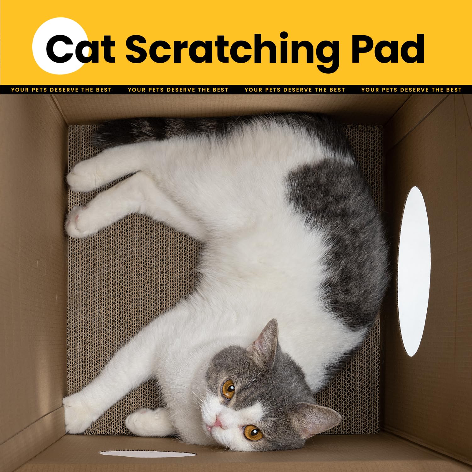 Conlun Cardboard Cat House with Scratching Board & Catnip, Cat Play Scratch House for Indoor Hideaway Furniture, Heavy Duty Sturdy Cardboard Scratcher, Easy to Assemble Birthday Gift