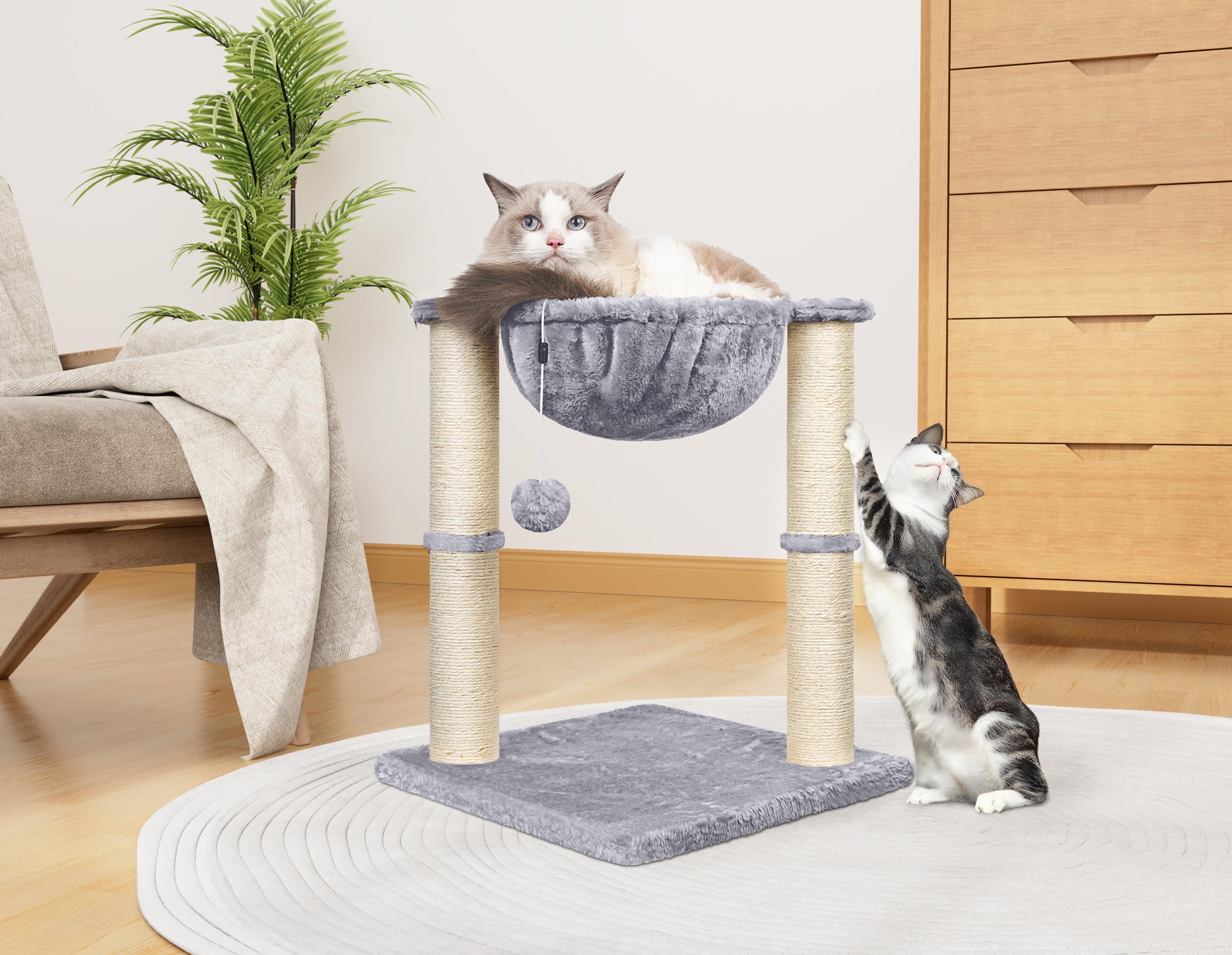 HOMIDEC Cat Scratching Post, 50cm Cat Tree with Cat Hammock Bed, Scratching Posts for Indoor Cats with Hanging Ball Toy, Small Cat Tree for Kitten Pets Playing and Relaxing, Grey
