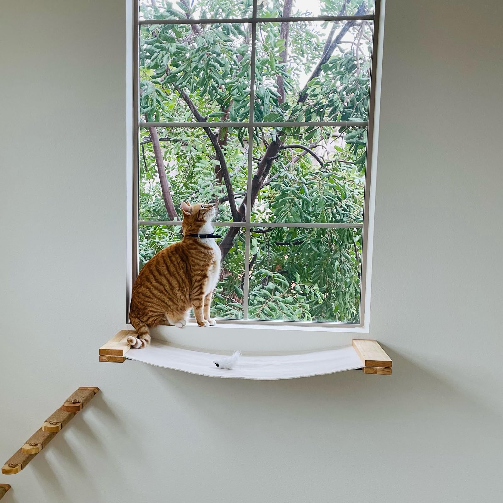FUKUMARU Cat Wall Furniture, 36 × 13 inch Cat Hammock for DIY Cat Shelves and Cat Wall, for Most Kitten, Medium and Large Cats