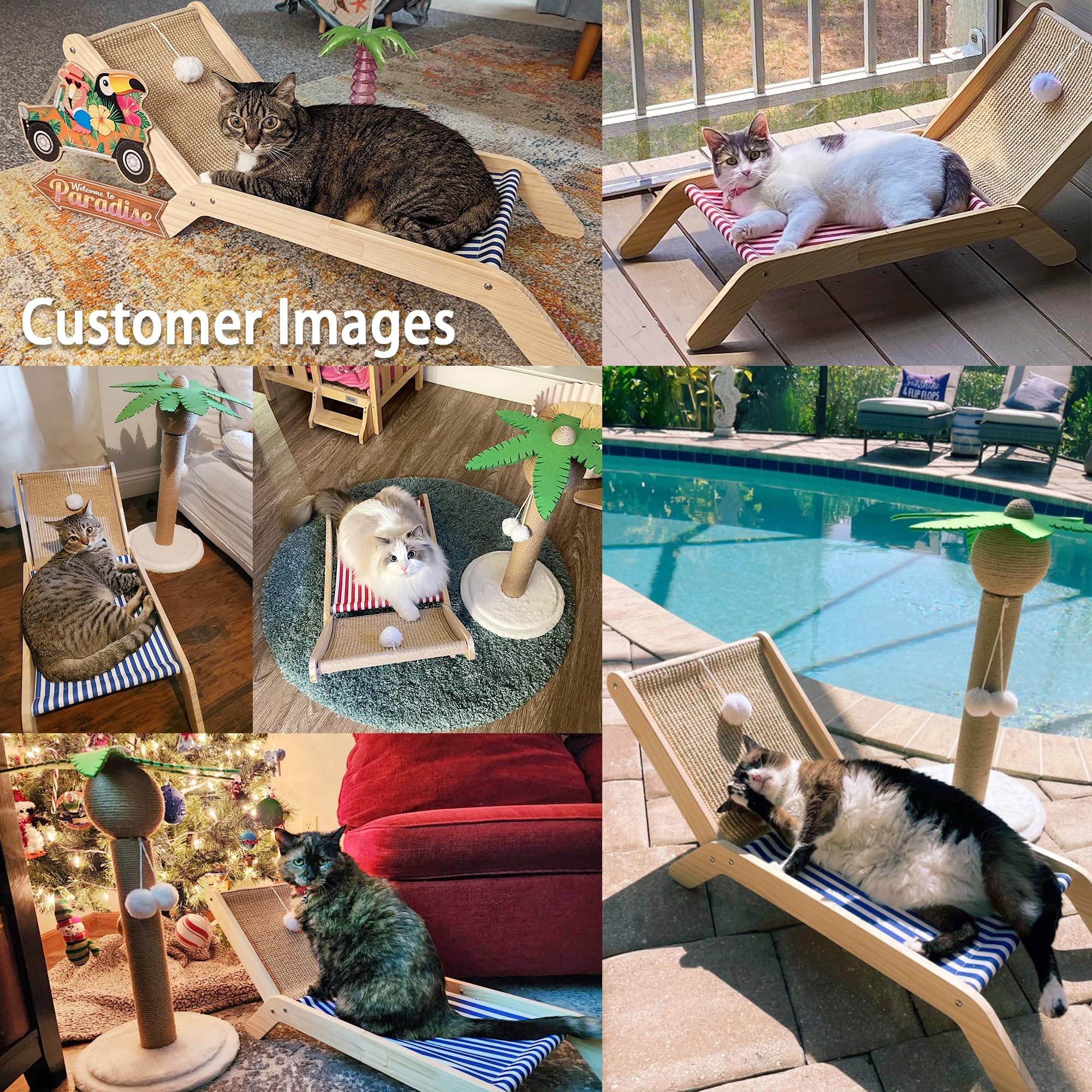 PETKARAY Beach Chair Cat Hammock, Elevated Cat Beds for Indoor Cats, Original Cozy Cat Lounger with Sisal Scratcher and Toy Ball