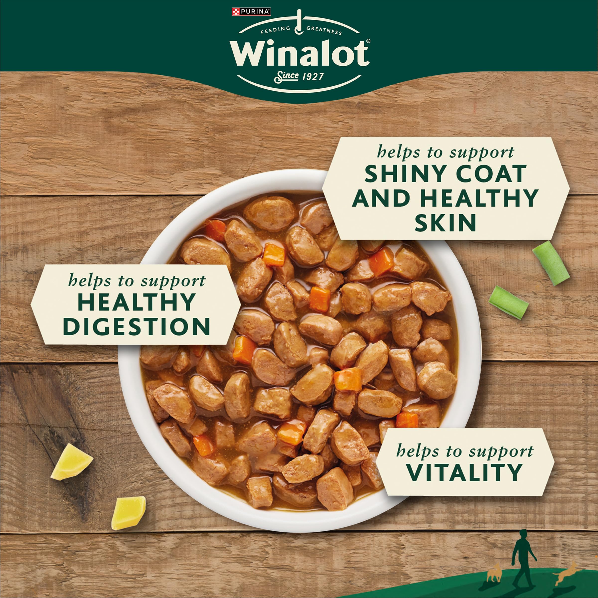 WINALOT Meaty Chunks Mixed in Gravy Wet Dog Food 40x100g